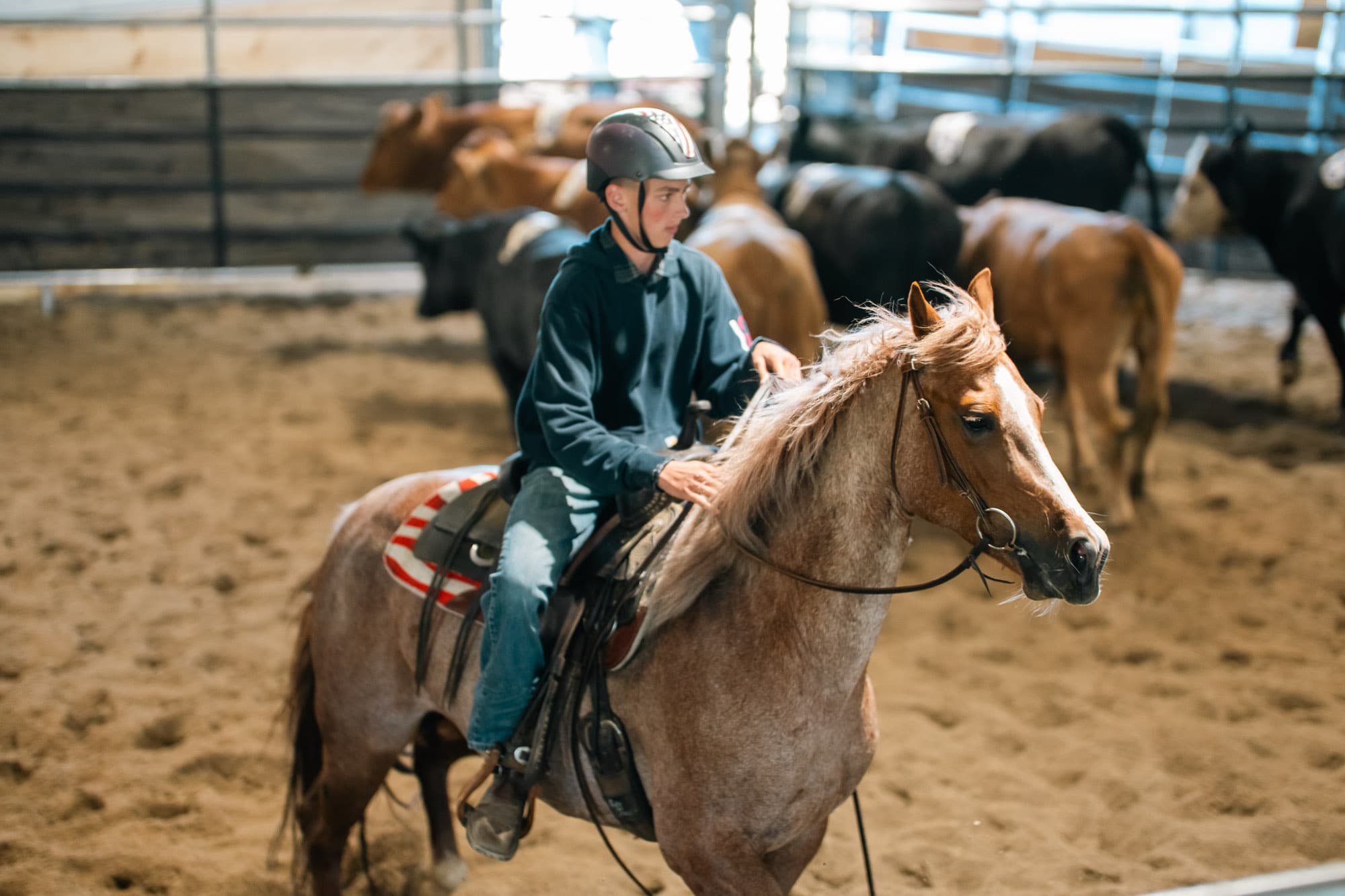 Ranch sorting action