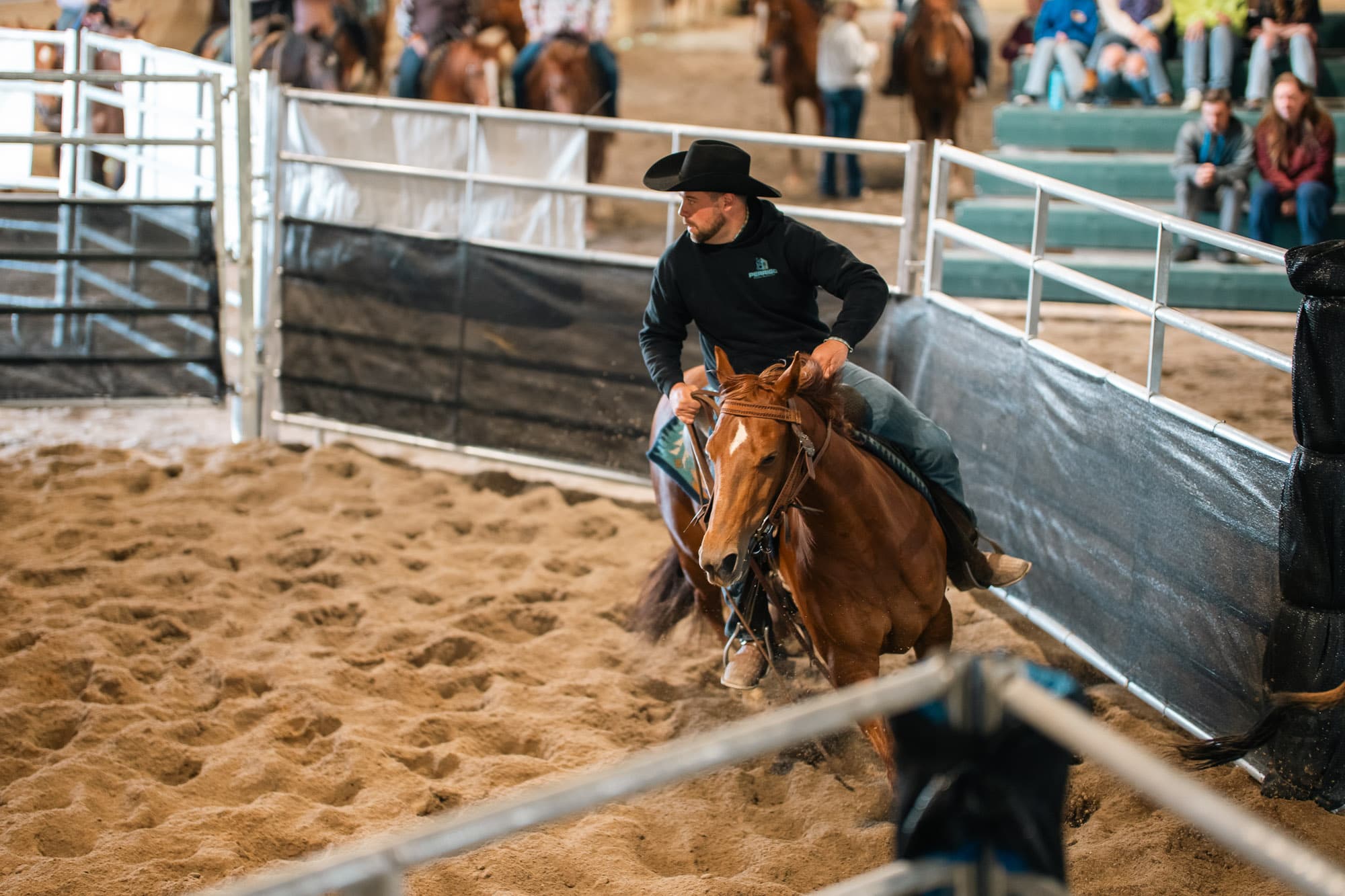 Rider and horse